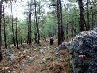 Likya Yolu