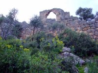 Pydnai