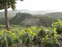 Pınara