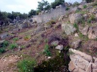 Xanthos