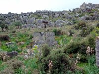 Xanthos