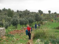 Likya Yolu