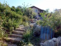 DSC05916