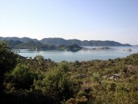DSC05918