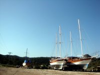 DSC05929