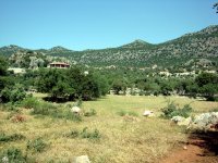 DSC05962