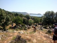 DSC05966