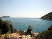 DSC05990