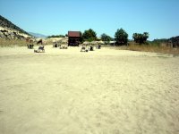 DSC06050