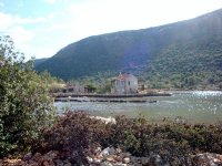 DSC05784