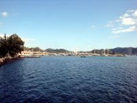 DSC05862