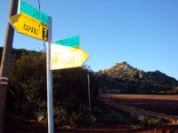 DSC06004