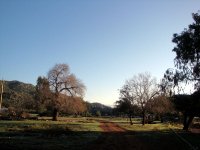 DSC06006