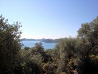 DSC06095