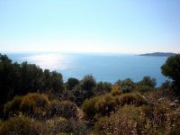 DSC06098