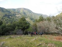 osmandemir60