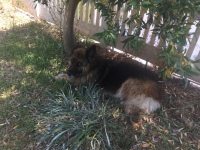 Liz2019062700