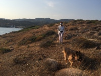 Liz2019090600