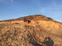 Liz2019091700