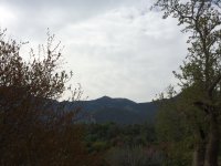 IMG_3278