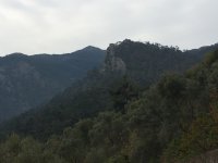 IMG_3279