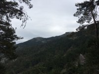 IMG_3294