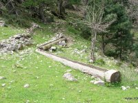 image_16