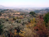 DSC00155