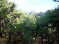 DSC00168