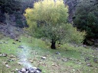 DSC00203