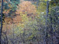 DSC00208