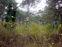 DSC00209
