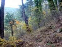 DSC00212
