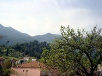 DSC05770