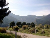 DSC05781