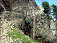 DSC05864