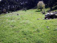 DSC05870