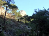 Mahmut Dağı
