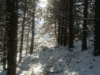 DSC05435