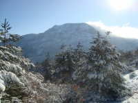DSC05452
