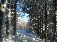 DSC05454