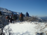 DSC05458