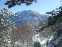DSC05473