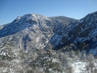 DSC05484