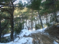 DSC05522