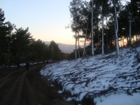 DSC05533