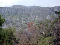 DSC07606