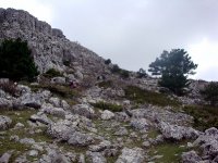 DSC07680