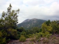 DSC07694
