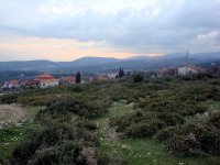 DSC07704